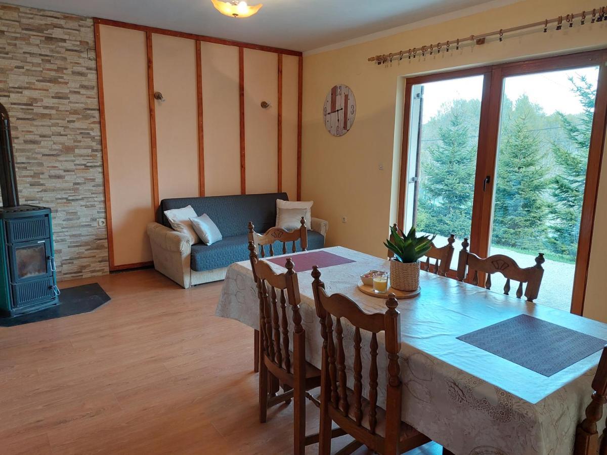 Holiday Home Cancarevic Ravna Gora Exterior photo