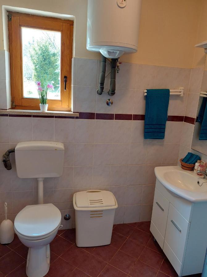 Holiday Home Cancarevic Ravna Gora Exterior photo